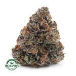 Buy Cannabis Kush Mints  AAAA at MMJ Express Online Shop