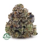 Buy Cannabis Tom Ford Pink Kush AAAA+, Craft at MMJ Express Online Shop