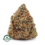 Buy Cannabis Papaya Kush AAA at MMJ Express Online Shop