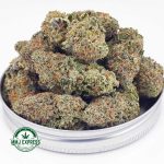 Buy Cannabis Grease Monkey AAA at MMJ Express Online Shop