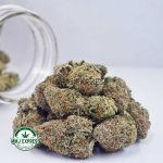 Buy Cannabis Grease Monkey AAA at MMJ Express Online Shop