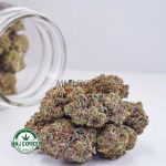 Buy Cannabis Pineapple Kush AA at MMJ Express Online Shop