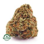 Buy Cannabis Island Kush AA at MMJ Express Online Shop