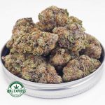 Buy Cannabis Strawberry Cheesecake AAA at MMJ Express Online Shop