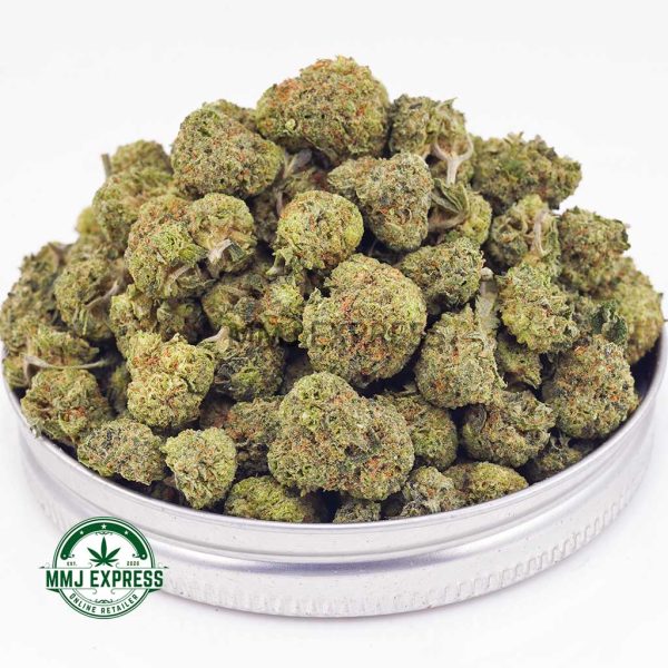 Buy Cannabis Mango Crush AAAA (Popcorn Nugs) at MMJ Express Online Shop