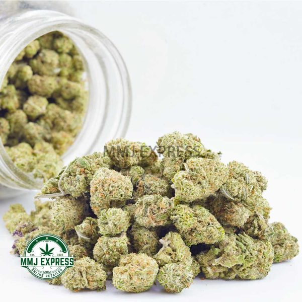 Buy Cannabis White Biscotti AAAA (Popcorn Nugs) at MMJ Express Online Shop