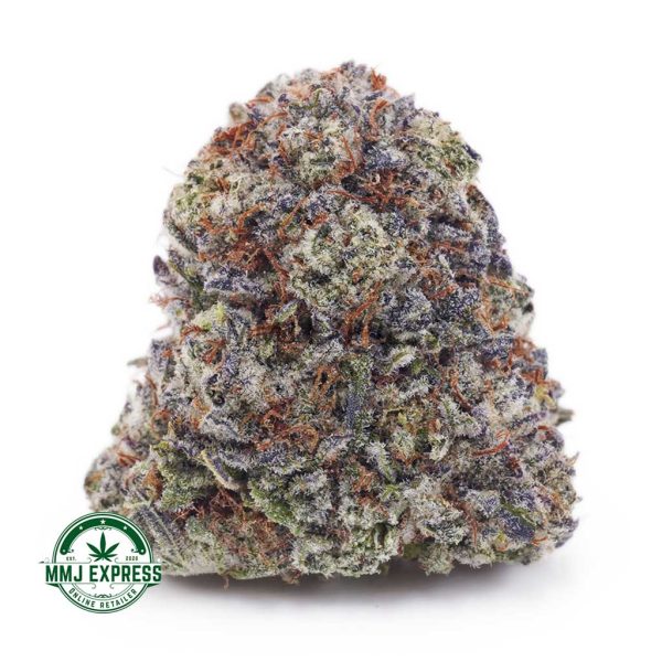 Buy Cannabis Super Silver Haze AAA at MMJ Express Online Shop