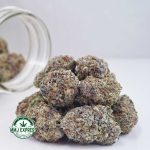 Buy Cannabis Super Silver Haze AAA at MMJ Express Online Shop