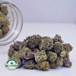Buy Cannabis Sundae Driver AAAA (Popcorn Nugs) at MMJ Express Online Shop