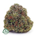 Buy Cannabis Grease Monkey AAA at MMJ Express Online Shop