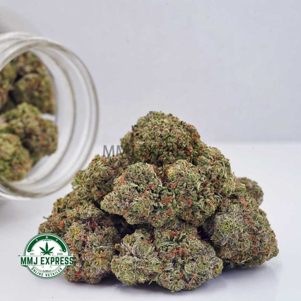 Buy Cannabis Grease Monkey AAA at MMJ Express Online Shop