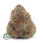 Buy Cannabis Maui Wowie AA at MMJ Express Online Shop