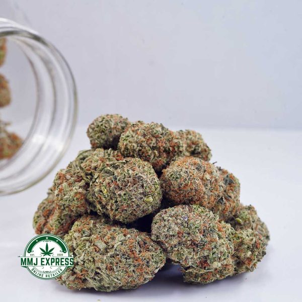 Buy Cannabis Maui Wowie AA at MMJ Express Online Shop