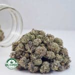 Buy Cannabis Mimosa AAAA (Popcorn Nugs) MMJ Express Online Shop