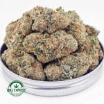 Buy Cannabis Strawberry Haze AAA at MMJ Express Online Shop
