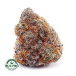 Buy Cannabis Khalifa Cookies AAA at MMJ Express Online Shop