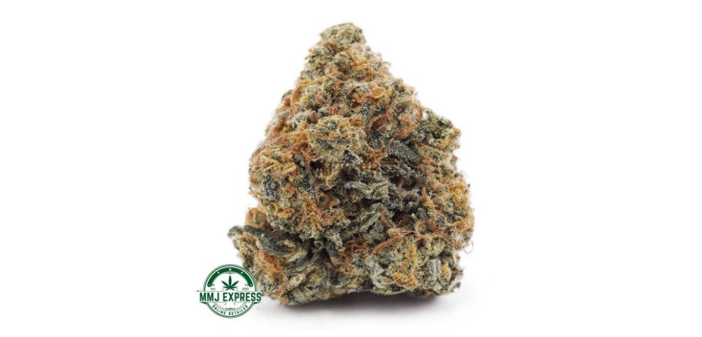 Low price buds can be iconic. The Girl Scout Cookies (GSC) AAA is the perfect example that you don't have to spend a fortune on quality. This supreme Indica hybrid induces a heavy couch-lock experience, uplifting the mood, and decreasing stress and anxiety. 