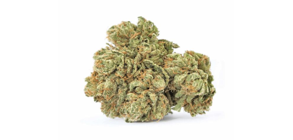The Maui Waui strain has a pleasant tropical and fruit aroma that will make your mouth water. 