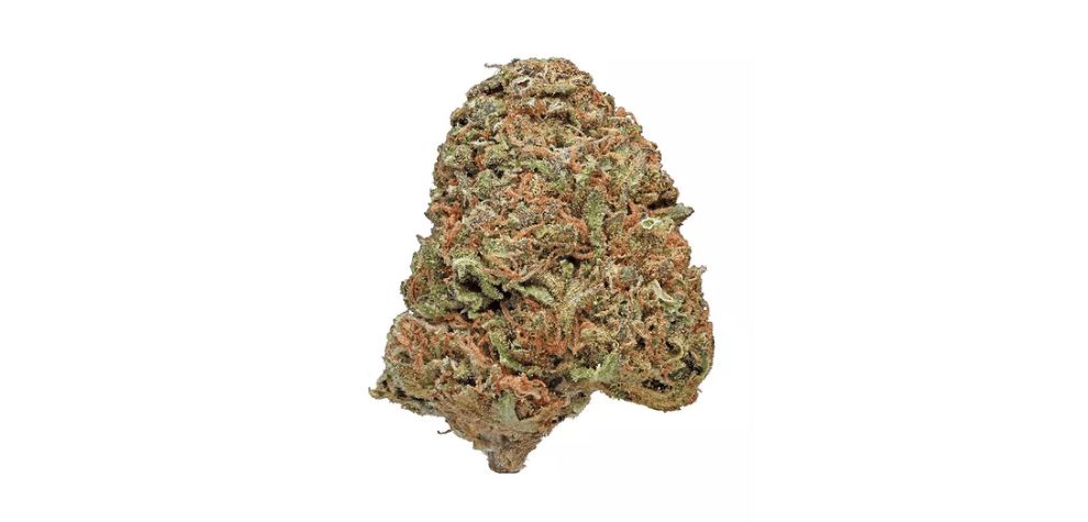 If you're one of the close to 250k registered medical marijuana patients in Canada, you're likely wondering if the Maui Wowie strain can ease your symptoms.  