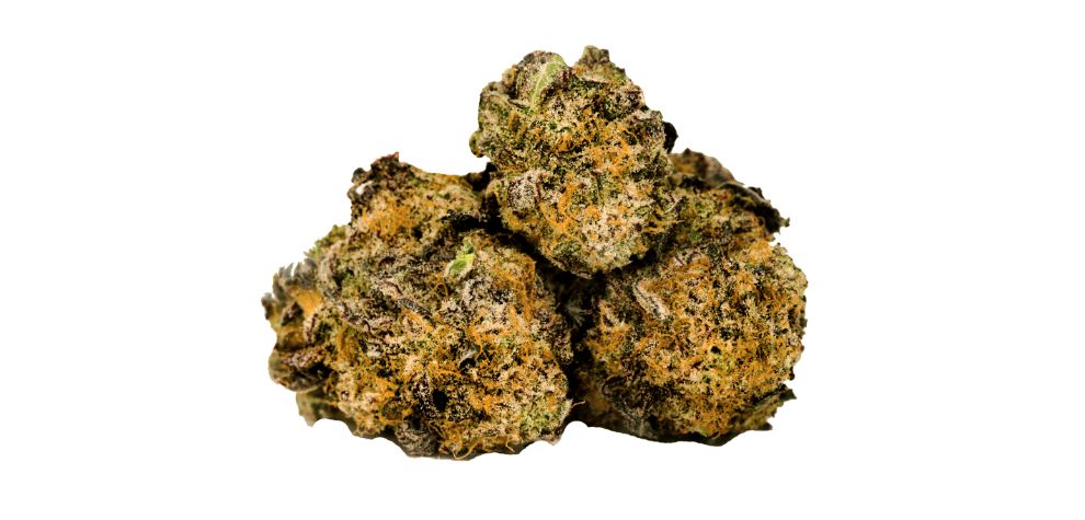 We are MMJ Express, a legacy mail-order pot store in BC, Vancouver. We sell the best BC bud online, including potent strains like the Maui Waui strain.
