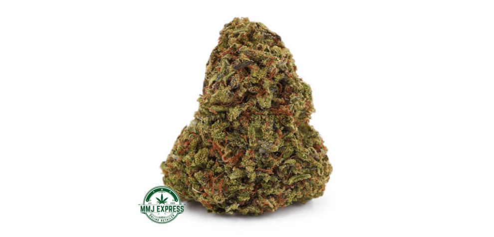 Another uplifting strain that you can consider when trying to buy weed online in Canada is Sour Diesel. 