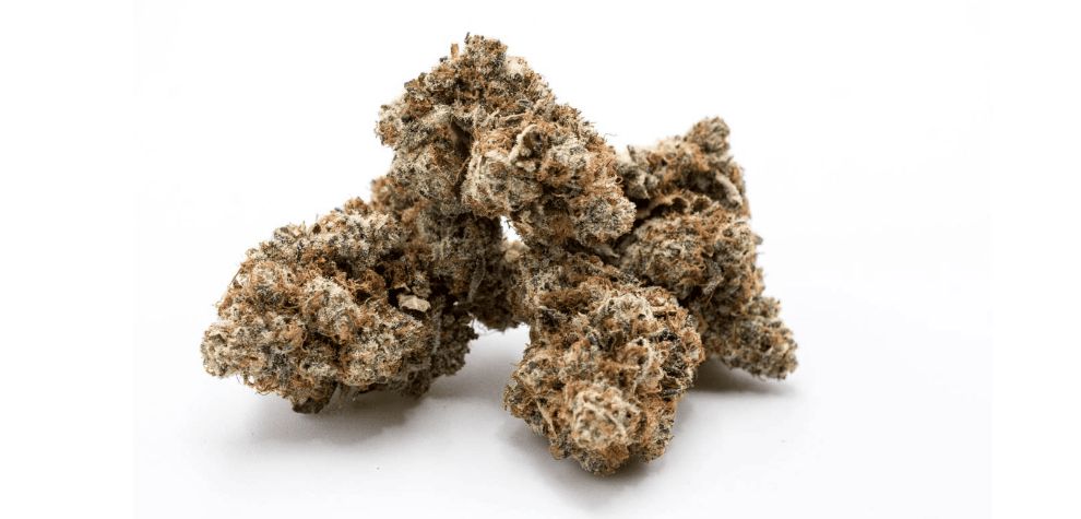 Tangie and Sour Tangie buds represent the best of nature's design. Their appearance establishes their appeal even before you get a whiff of its aroma. 