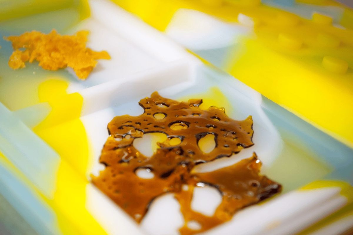 THC Shatter packs a heavy punch that should not be taken lightly. Discover more in this guide and find out why cannabis Shatter is the true champ! 