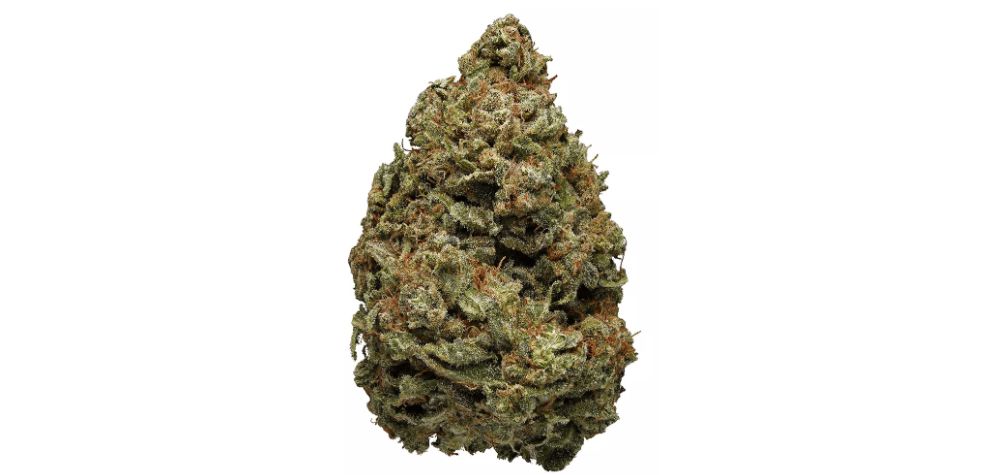 According to the Black Widow strain info, the original strain was called White Widow and was bred by Green House Seeds. 