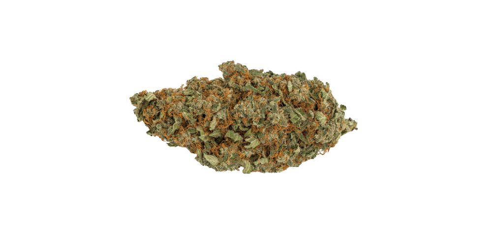 This bud has a sharp, skunky diesel smell that only intensifies as you break up or grind the buds. This is probably due to the influence of its Chemdawg heritage.