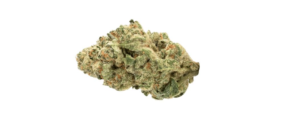 Venom OG was created through a cross between the legendary Poison OG and Rare Dankness, a proprietary strain also produced by Rare Dankness.