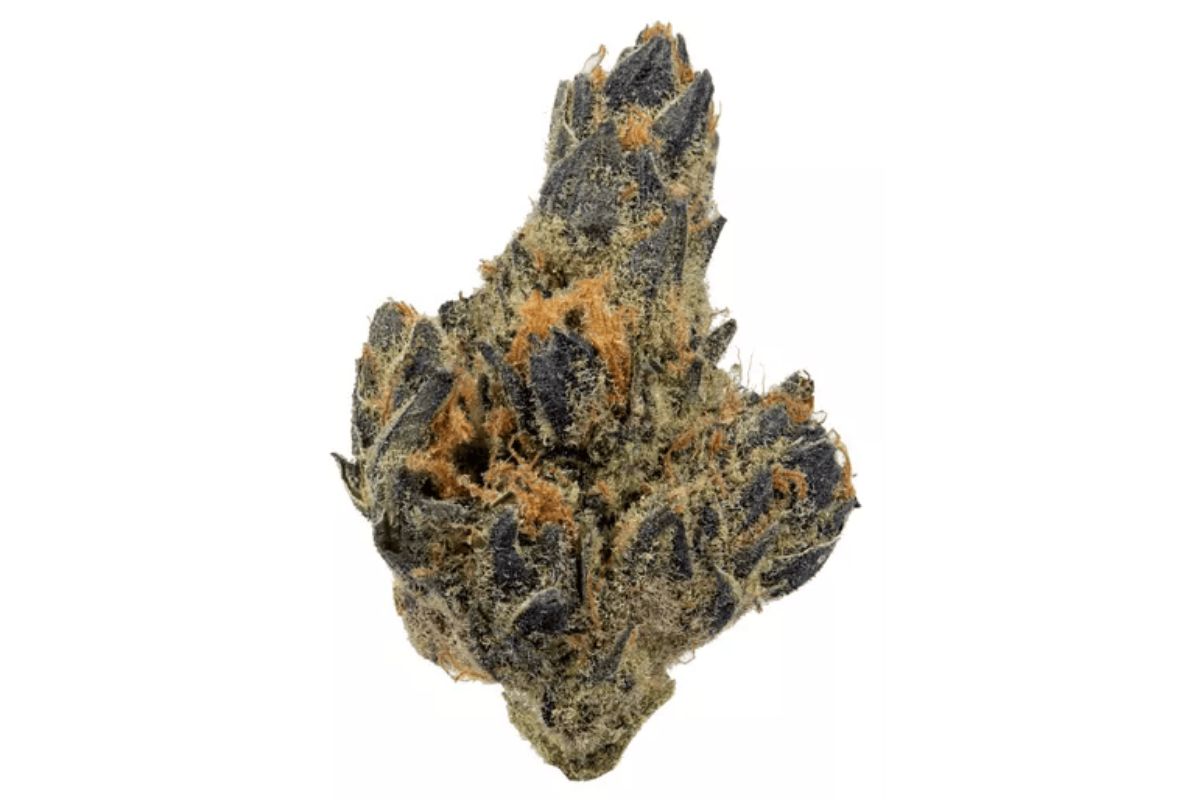 Is the Venom OG strain as menacing as its name? This review looks at this strain's qualities & effects to help you determine if it's a worthy buy.