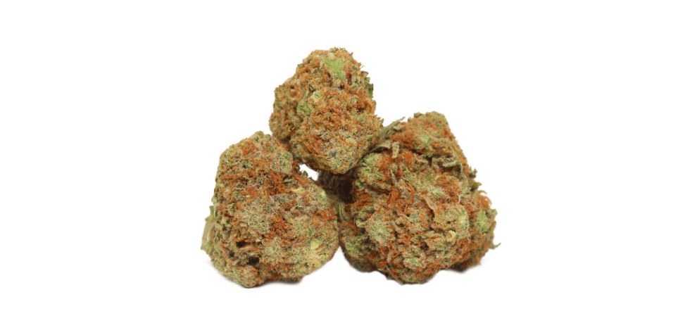 What amazing deals can you find at an online dispensary? Here's a sneak peek of what to expect from a supreme online weed dispensary like MMJ Express.