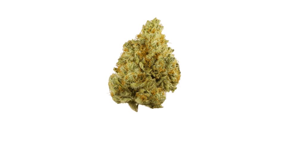 Sour Tangerine strain is a cross between the classic and old-school East Coast Sour Diesel and Tangie strains. This strain was first bred by DNA Genetics.