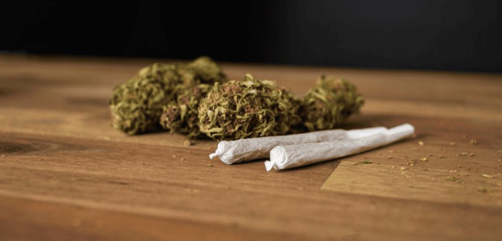 As first-time smokers, it's completely natural to feel a bit lost and confused. We'll help discover the different ways to smoke weed, but first, let's begin with the basics.