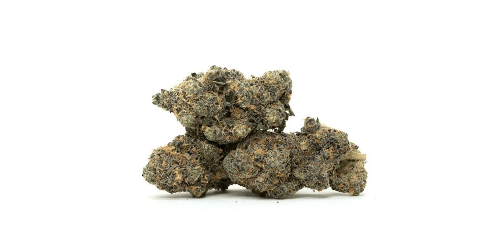 Limonene, Caryophyllene, and Pinene are the most abundant terpenes in the Black Mamba weed strain. Limonene, a citrusy terpene, adds a "tang" to the bud and has potential mood-boosting properties.