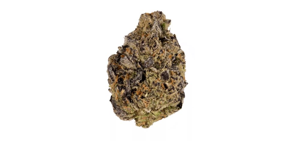 In this Black Mamba strain review, you'll get the insider scoop on the THC content, terpene profile, flavours, aromas, and recreational effects of the bud. Furthermore, we'll tell you where to buy weed online in Canada to avoid scams and get the best bang for your buck.