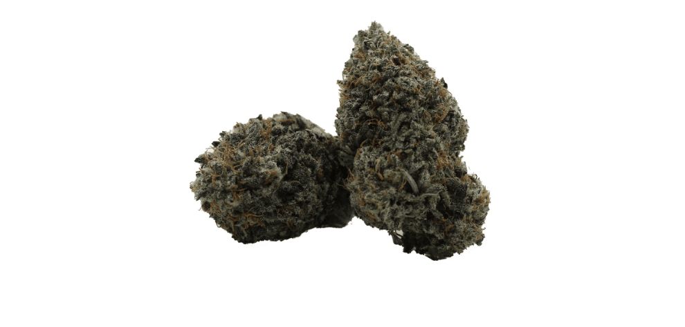 The Black Mamba weed strain is a premium-grade strain with impressive genetics, fantastic, long-lasting effects, and a delicious flavour and aroma profile. 