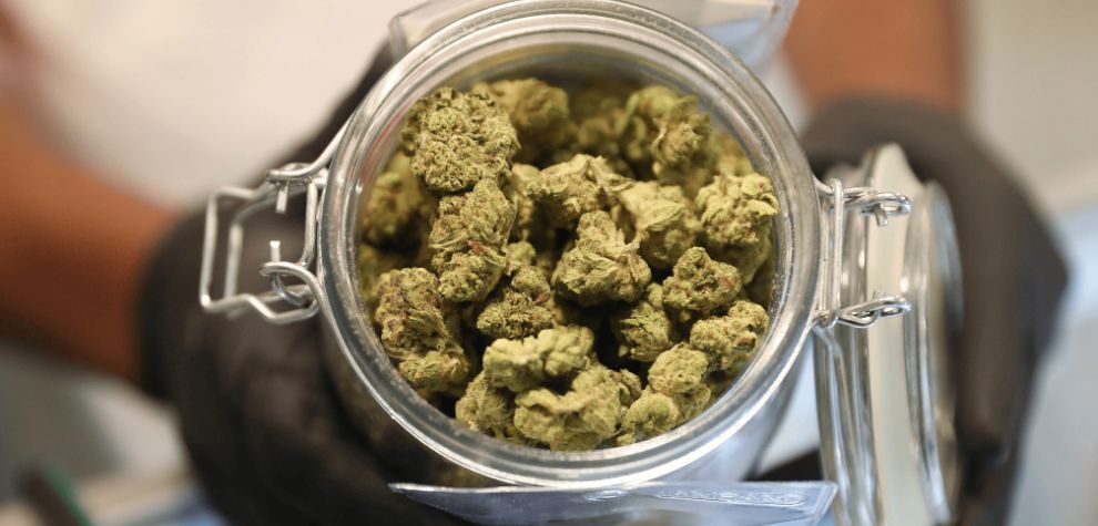 Before you order “BC bud online,” you need to determine some of the best strains available. 