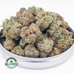 Buy Cannabis Blueberry Yum Yum AAAA (Popcorn) at MMJ Express Online Shop
