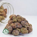 Buy Cannabis OG Kush AAA at MMJ Express Online Shop