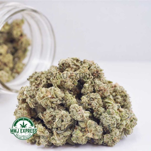 Buy Cannabis Frosted Cherry Gelato AAAA (Popcorn Nugs) at MMJ Express Online Shop