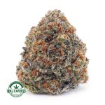 Buy Cannabis Biscotti Cookies AAA at MMJ Express Online Shop