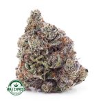 Buy Cannabis Purple Frost AAAA at MMJ Express Online Shop