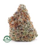 Buy Cannabis Mac Donut AAAA at MMJ Express Online Shop