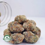 Buy Cannabis Mac Donut AAAA at MMJ Express Online Shop