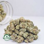 Buy Cannabis Dolato AAAA (Popcorn Nugs) at MMJ Express Online Shop
