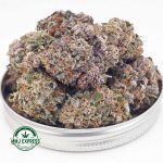 Buy Cannabis Oreoz AAAA at MMJ Express Online Shop