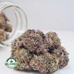 Buy Cannabis Oreoz AAAA at MMJ Express Online Shop