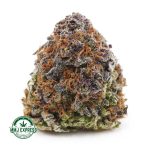 Buy Cannabis Super Skunk AAA at MMJ Express Online Shop