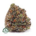 Buy Cannabis Gorilla Cookies AAA at MMJ Express Online Shop